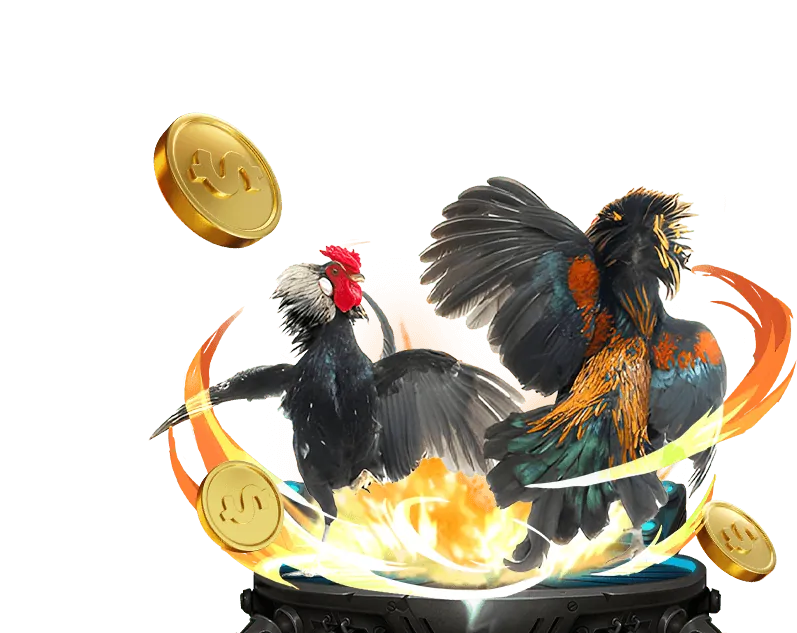 Tin tức và blog về đá gà BK8 Link